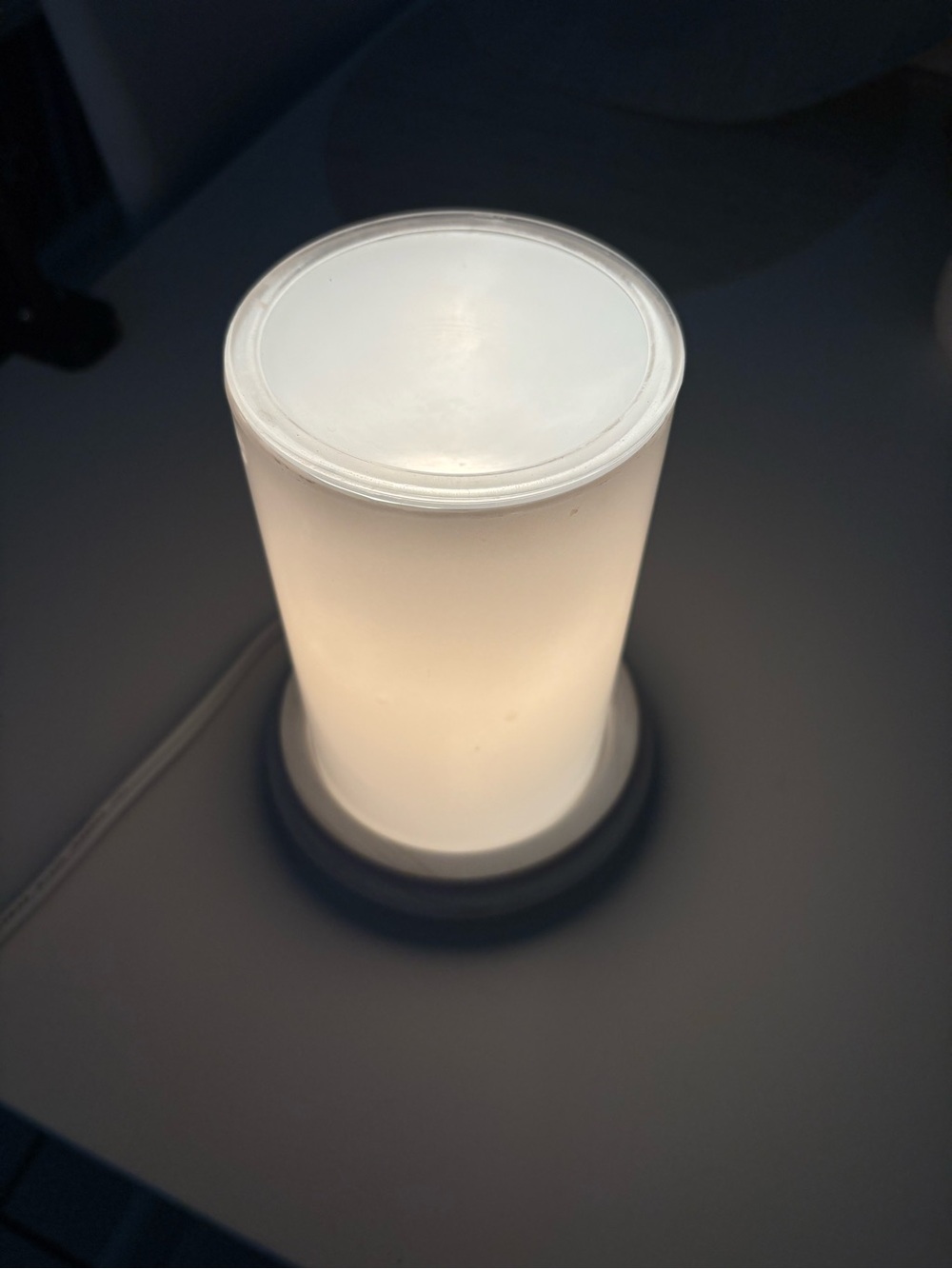 Pink Zebra Simmering Light Wax Warmer – White